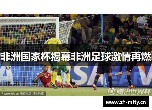 非洲国家杯揭幕非洲足球激情再燃 非洲国家杯揭幕非洲足球激情再燃