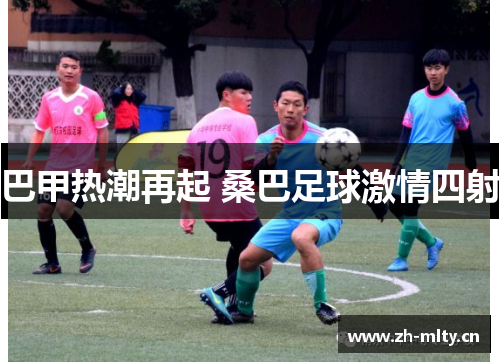 巴甲热潮再起 桑巴足球激情四射 巴甲热潮再起 桑巴足球激情四射